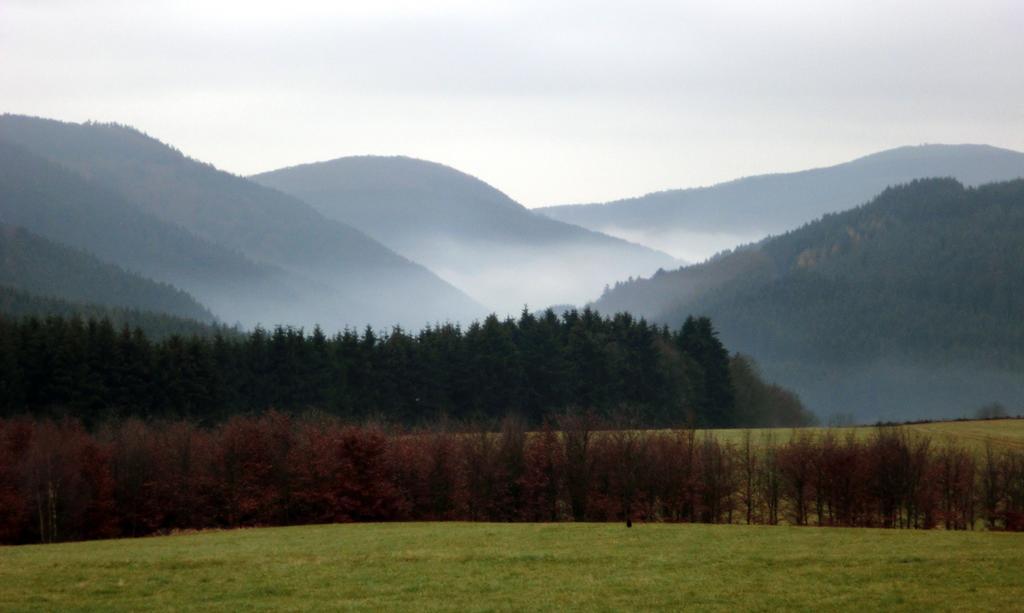 Landhaus Zur Linde Appartement Winterberg Kamer foto